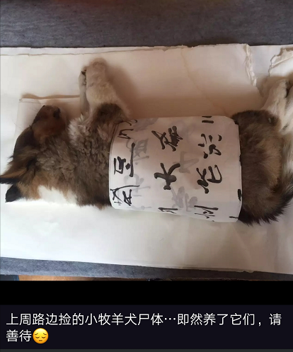 从应女士的朋友圈中可见