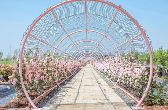 无锡胡埭人口_无锡胡埭工业园图片(2)