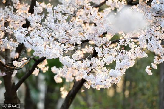 江苏最美高校图鉴 哪一座是你心目中最爱