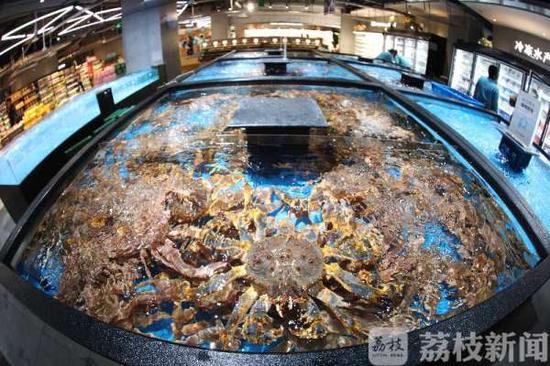 吃货福音！全球海鲜吹响“集结号”