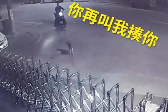 邵某停车跟狗理论