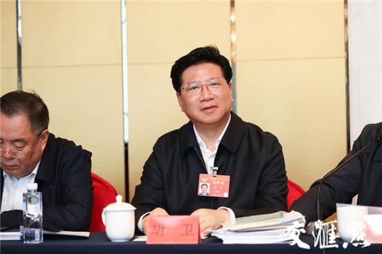 全国政协委员、民进上海市委专职副主委胡卫