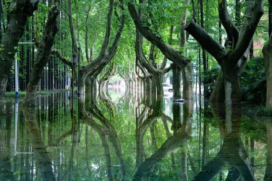 江苏最美高校图鉴 哪一座是你心目中最爱