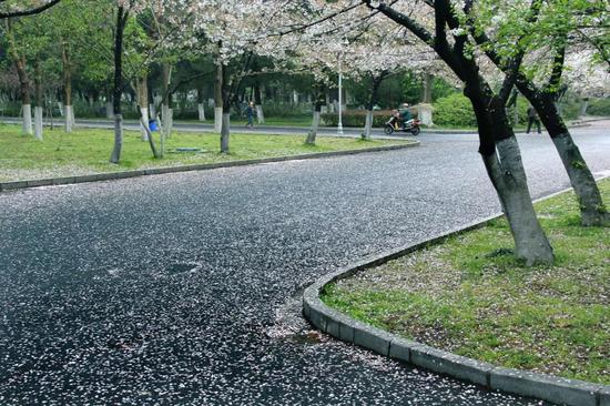 江苏最美高校图鉴 哪一座是你心目中最爱