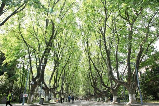 江苏最美高校图鉴 哪一座是你心目中最爱