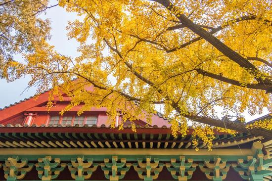 江苏最美高校图鉴 哪一座是你心目中最爱