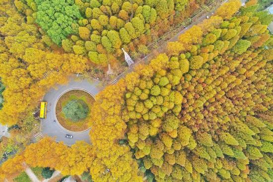 江苏最美高校图鉴 哪一座是你心目中最爱