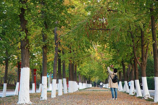 南京发力建公园：到2035年拟实现三百米见绿、五百米入园