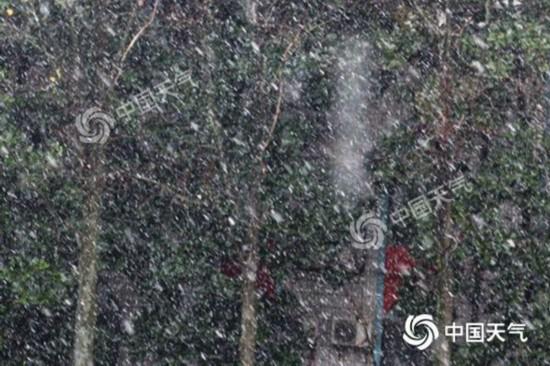 安徽淮南昨天飘雪。(图/王传旭)
