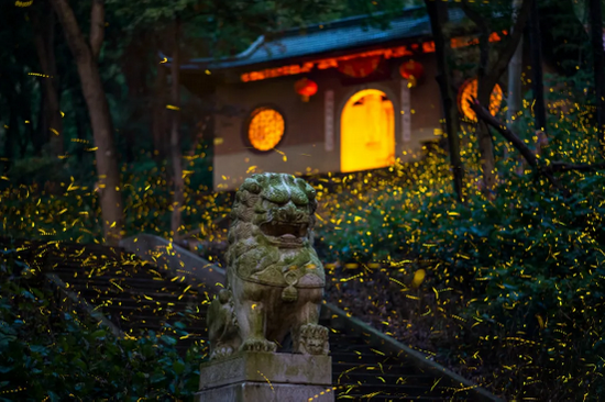 　　图/@毛毛熊Tinybear 
