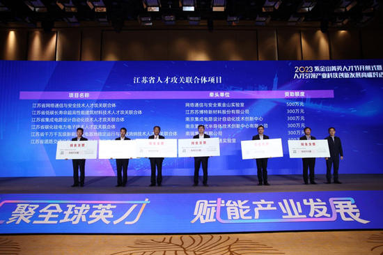 江苏省人才攻关联合体资助项目