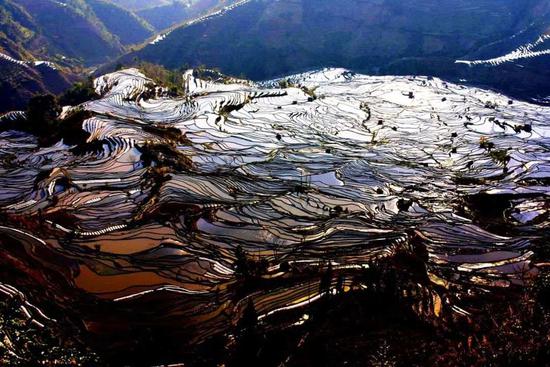 元阳梯田