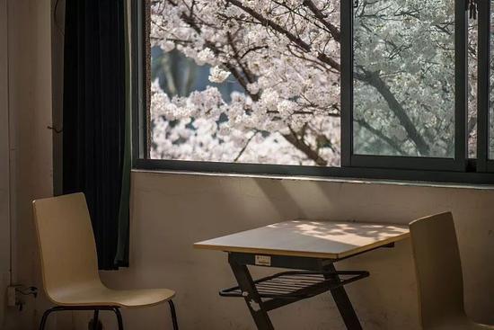 江苏最美高校图鉴 哪一座是你心目中最爱