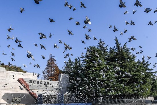 2022年12月13日，南京大屠杀死难者国家公祭仪式现场放飞和平鸽。 新华社记者李博 摄
