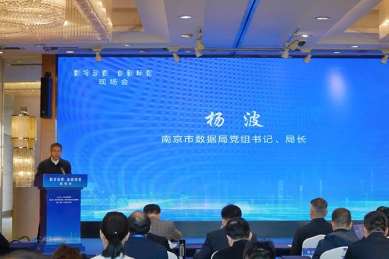 南京市数据局党组书记、局长杨波