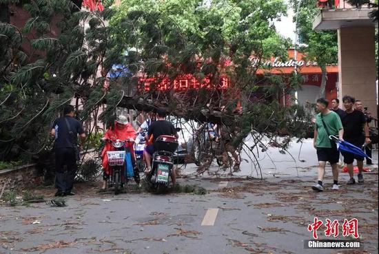 福州街道 刘可耕 摄