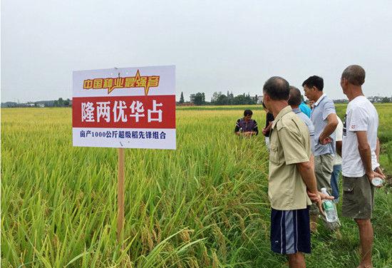 世界知识产权日：愿世界没有抄袭 一起为原创打Call