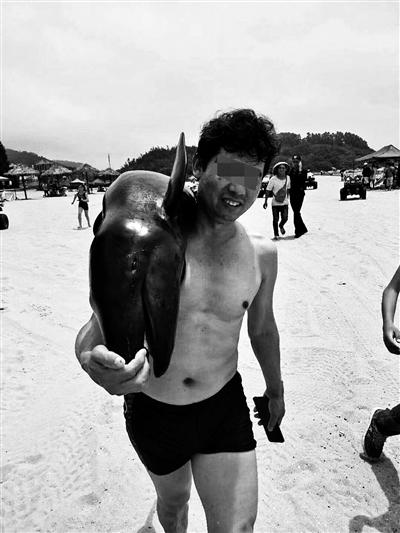 “海豚”搁浅沙滩 游客竟然私自扛走