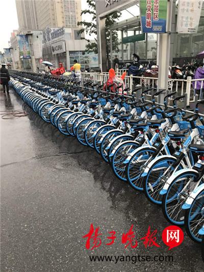 百余共享单车肆意停放 堵住火车站出租车接客通道