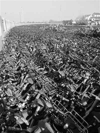 江宁一空地堆着上万辆废弃单车 已责令尽快清运