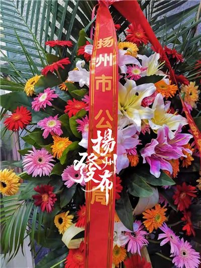 一奶茶开门“纪检委”“公安局”送花篮？真相是…