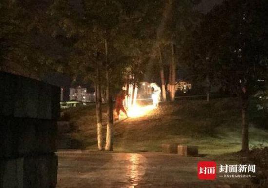 散步市民被发飙马蜂群蛰伤 奶奶脱衣护孙女不治身亡