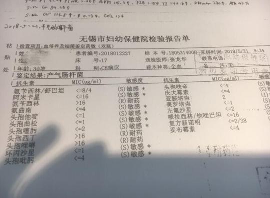 田逍全血的细菌培养结果是产气荚膜杆菌。