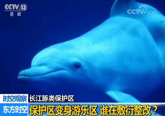保护区变身游乐区,谁在敷衍整改?