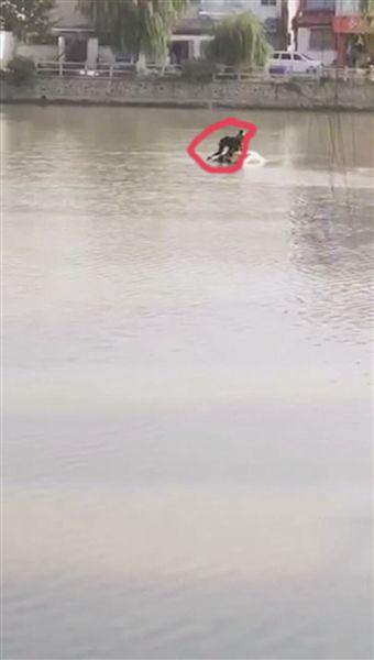 淮安轿车冲入河中 7人不约而同跳入河中救人