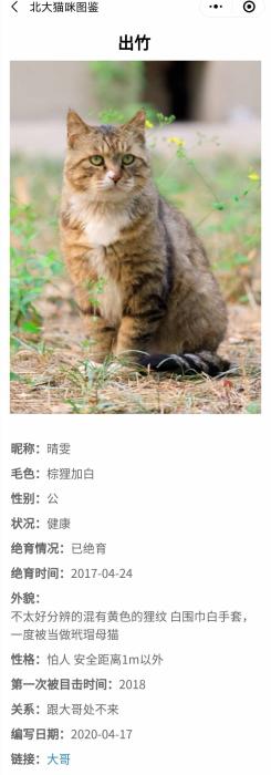 　　“北大流浪猫图鉴”小程序截图