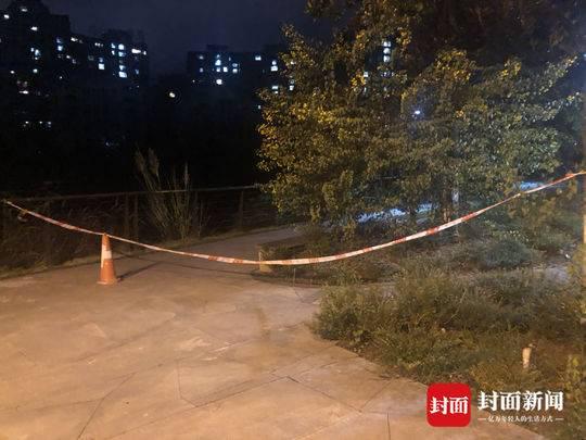 马蜂发飙蛰伤市民 奶奶脱衣护孙女自己不治身亡