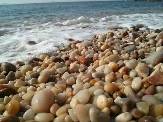 游客欲带走景区球石被阻发飙：门票140拿个石头咋了