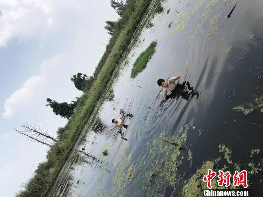 百余只水鸟夜困滇池非法捕鸟桩 民警涉水解救