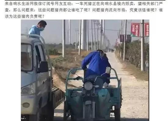 自媒体违法“零容忍” 江苏网警依法查处54名运营者