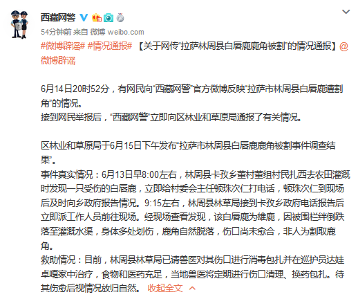 图片来自@西藏网警