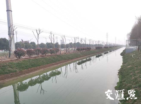 整改后,实联化工旁边的河道。