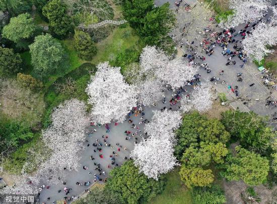 江苏最美高校图鉴 哪一座是你心目中最爱