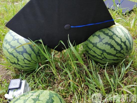 学士帽威力究竟多大？实验证明：能切西瓜！