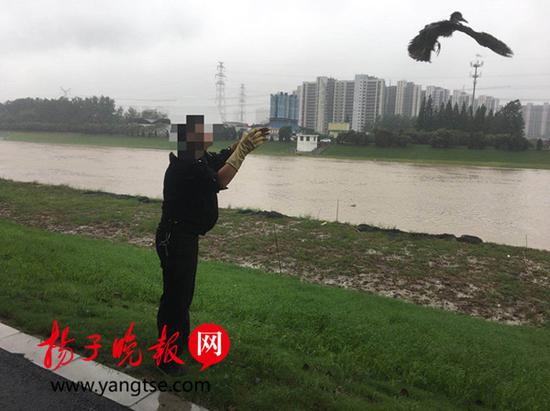 男子路边捡到一只大鸟 民警发现保护动物将其放飞