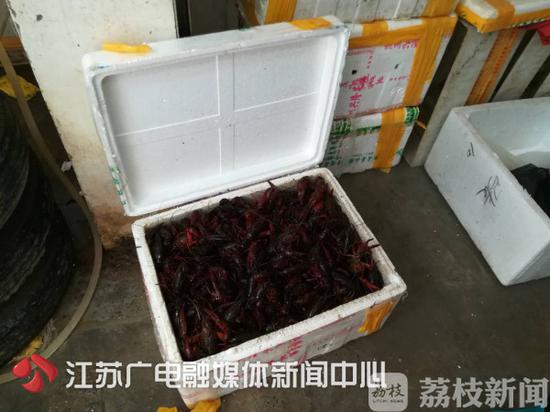 爱吃小龙虾的你 南京小龙虾抽检结果出炉