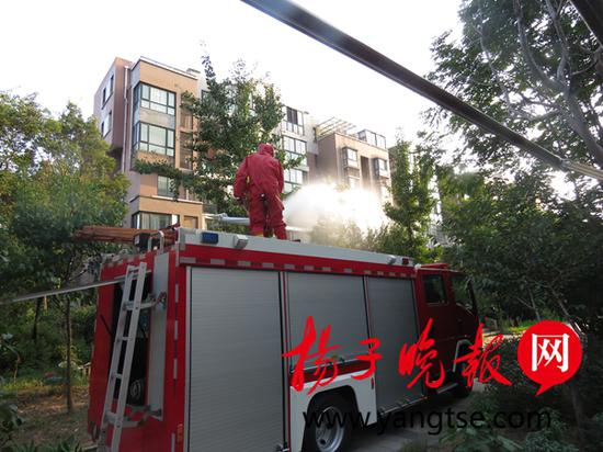 消防官兵还特别提醒广大市民,夏日衣服单薄,切勿擅自捅马蜂窝。