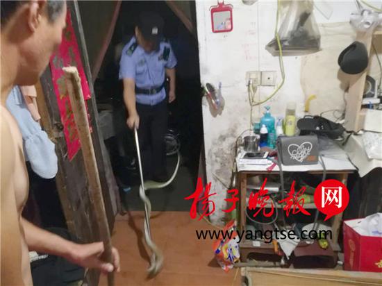 1.5米大蛇闯入空调内纳凉 民警放它到该凉快的地方