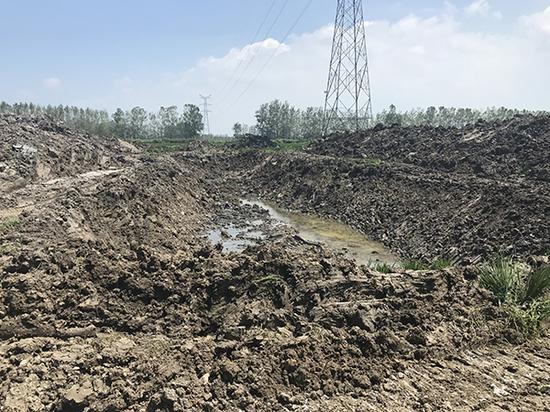 连云港非洲猪瘟养殖场周边3公里划为疫区 上万头生猪被扑杀