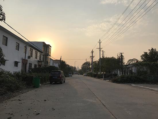 村支书带村民盗掘殷墟 黑市交易是“公开秘密”