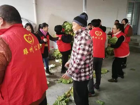 42岁菜农送敬老院五千余斤白菜:这是我能做的公益