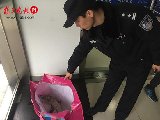 镇江火车站南广场惊现一米长死鳄鱼！