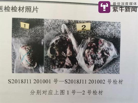 金坛公安查获的穿山甲检验材料照片