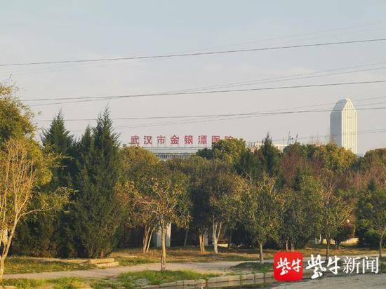 金银潭医院 郭靖宇摄