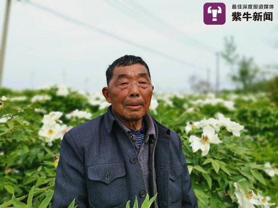 老人守护着牡丹花田十年