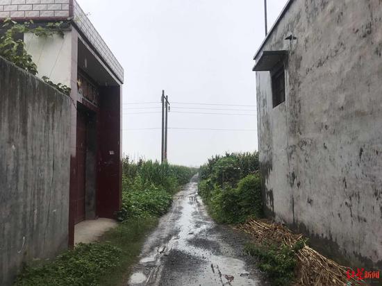 案发村庄外围即是大片一人多高的玉米地,增加了警方抓捕嫌犯的难度。